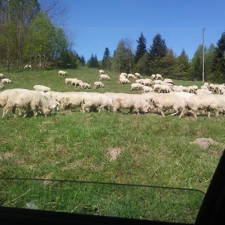 Agroturystyka Boguska Leilighet Zawoja Eksteriør bilde